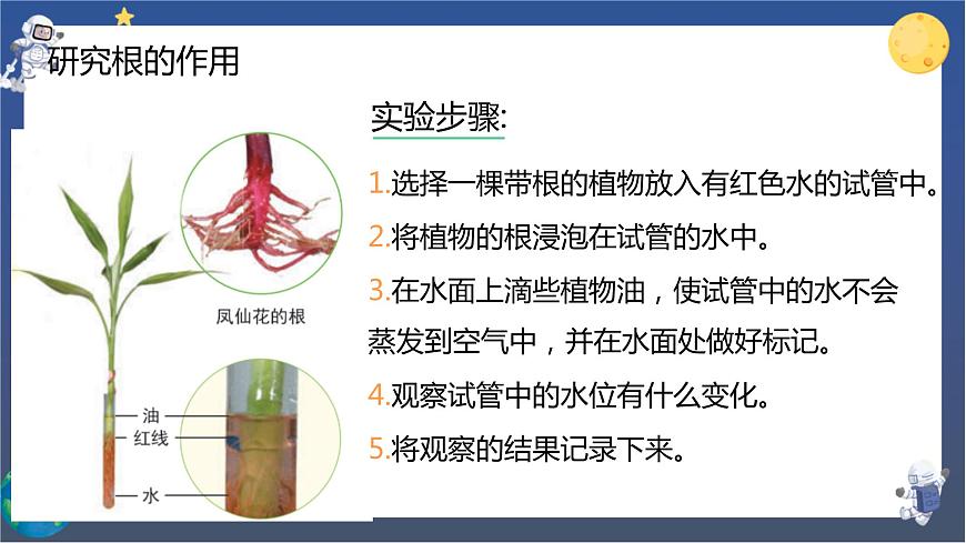 教科版科學(xué)四下  第一單元復(fù)習(xí)課件第8頁