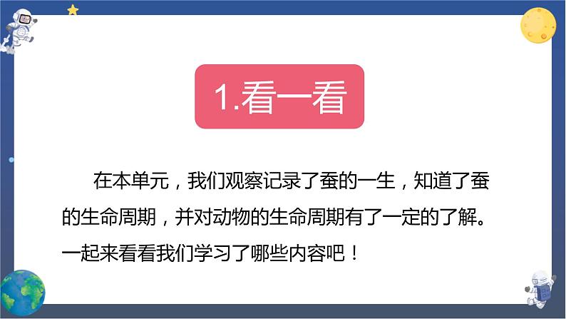 教科版科学三下 2.《动物的一生》单元复习课件03