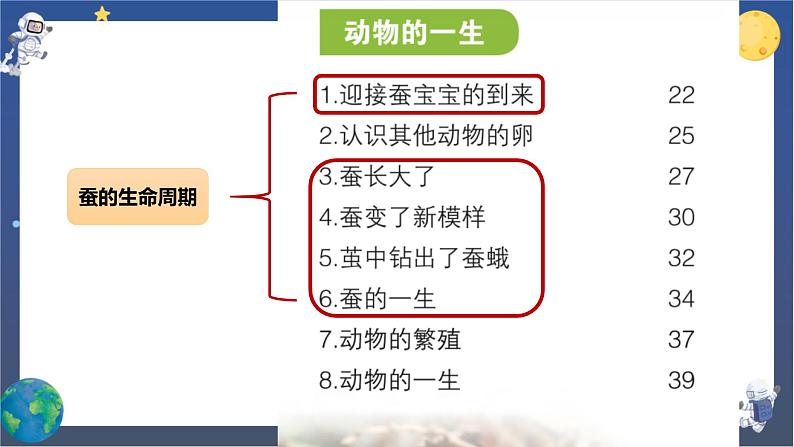 教科版科学三下 2.《动物的一生》单元复习课件04