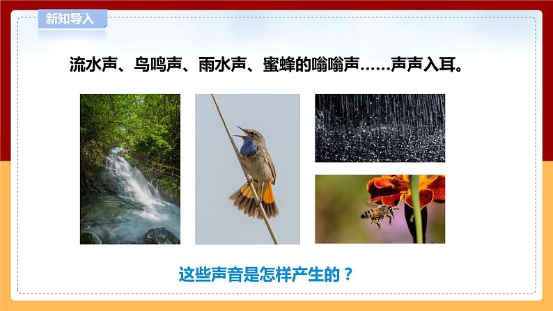 【青岛版六三制】四下科学 2.4《声音的产生》(课件+教案+练习+素材)04