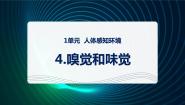 青岛版 (六三制2017)六年级下册嗅觉和味觉备课课件ppt