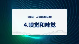 新青岛版科学六年级下册4 嗅觉和味觉 课件PPT