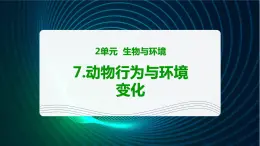 新青岛版科学六年级下册7 动物行为与环境变化 课件PPT