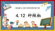 科学四年级下册12 种辣椒试讲课课件ppt