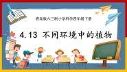 四年级下册13 不同环境中的植物优秀ppt课件