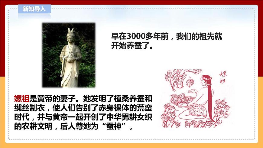 5.15《養(yǎng)蠶》課件 第4頁
