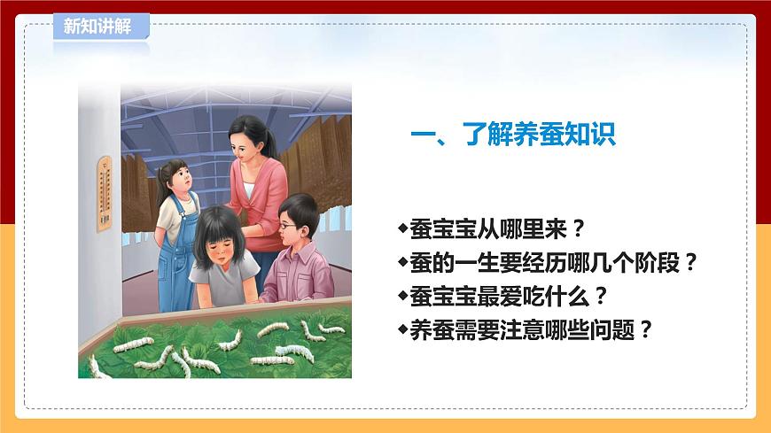 5.15《養(yǎng)蠶》課件 第6頁