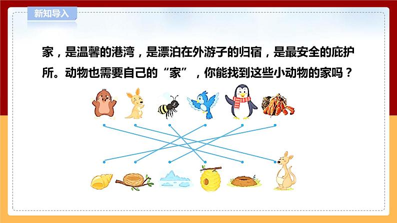 【青岛版六三制】四下科学 5.16《动物的家》(课件+教案+练习)03