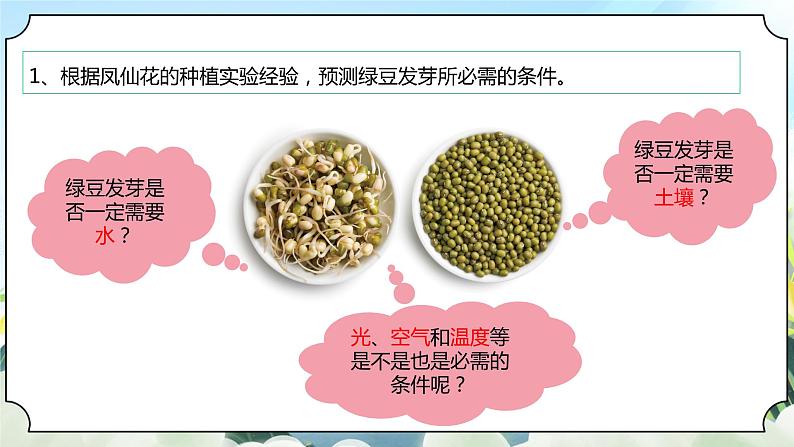 1.1《种子发芽实验》课件+素材 新教科版五年级科学下册07