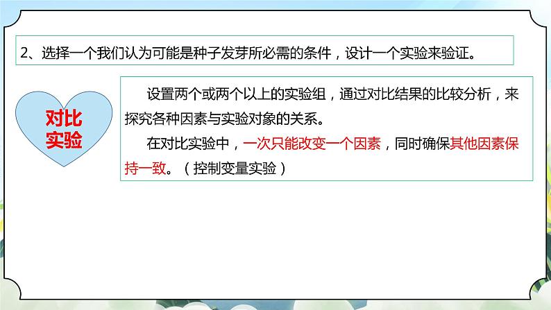 1.1《种子发芽实验》课件+素材 新教科版五年级科学下册08