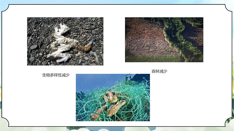 3.2《我们面临的环境问题》课件+素材 新教科版五年级科学下册08