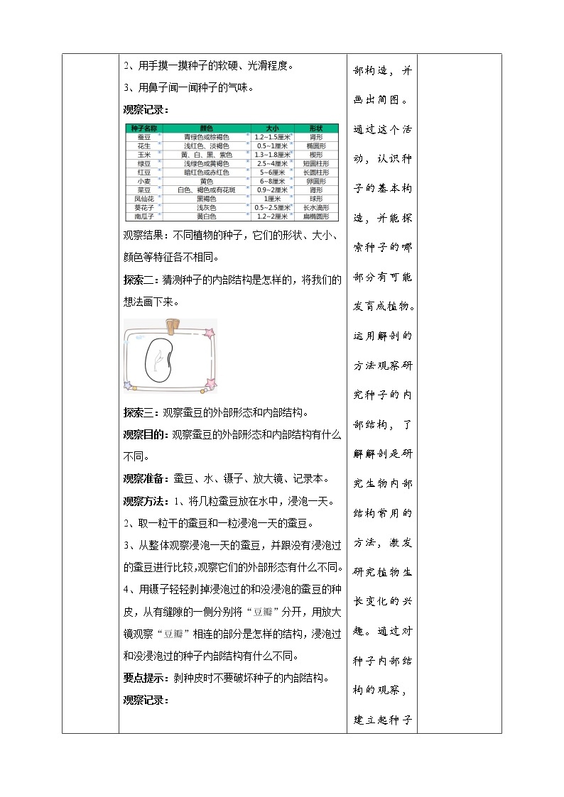 1.1《种子里孕育着新生命》课件+教案+试题（含解析）+素材 教科版（2017）四年级科学下册03