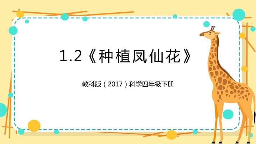 1.2《種植鳳仙花》課件 教科版（2017）四年級科學下冊第1頁