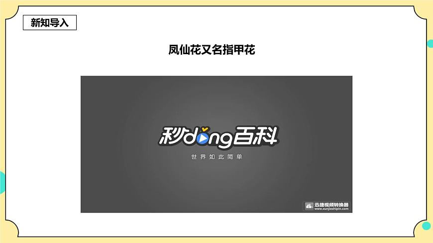 1.2《種植鳳仙花》課件 教科版（2017）四年級科學下冊第3頁