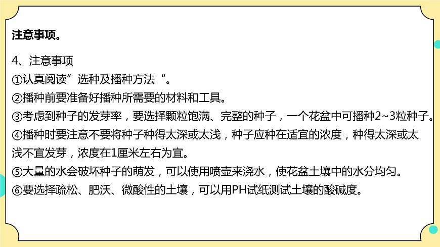 1.2《種植鳳仙花》課件 教科版（2017）四年級科學下冊第8頁