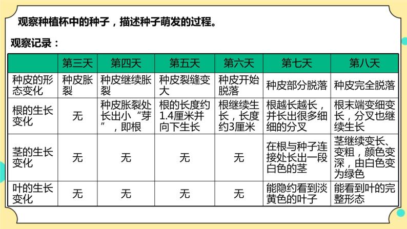 1.3《种子长出了根》课件+教案+试题（含解析）+素材 教科版（2017）四年级科学下册07