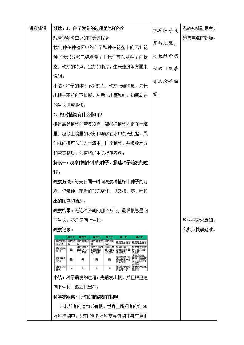 1.3《种子长出了根》课件+教案+试题(含解析)+素材 教科版(2017)四年级科学下册02