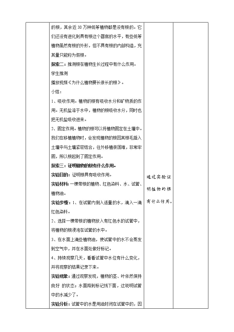 1.3《种子长出了根》课件+教案+试题(含解析)+素材 教科版(2017)四年级科学下册03