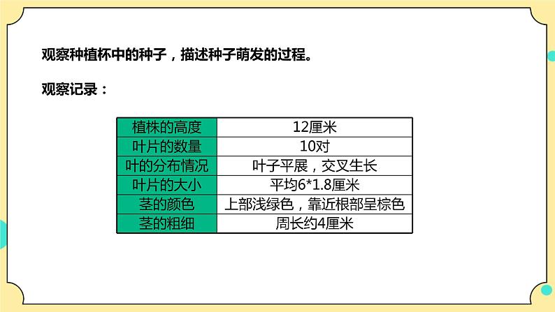 1.4《茎和叶》课件 教科版(2017)四年级科学下册第7页