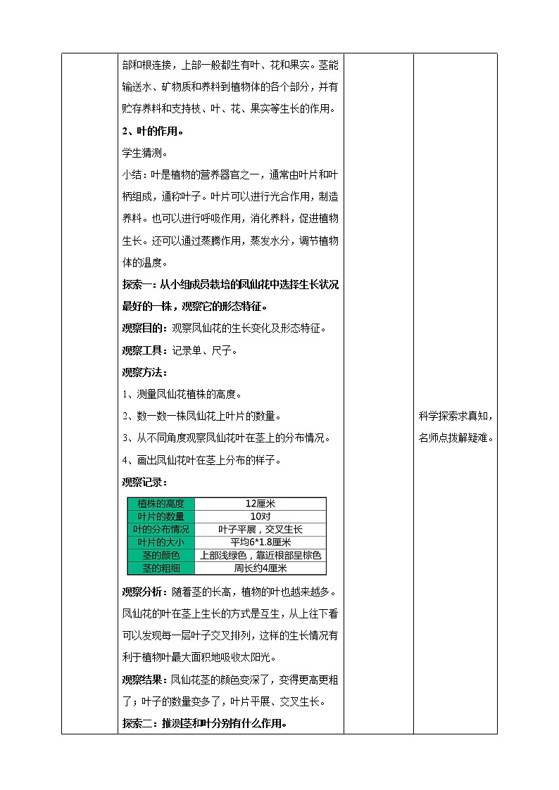 1.4《茎和叶》教案 教科版(2017)四年级科学下册第2页