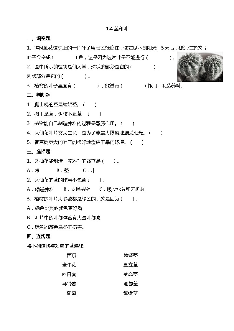 1.4《茎和叶》试题(含解析)教科版(2017)四年级科学下册第1页