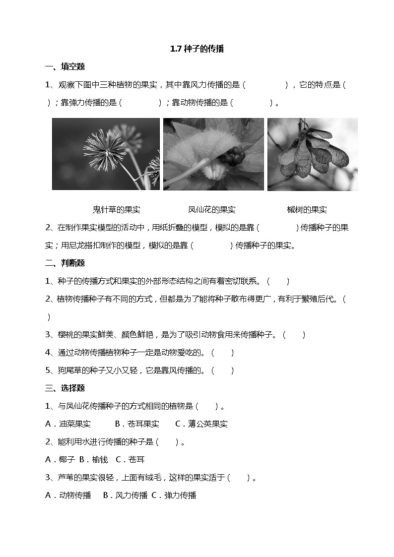 1.7《种子的传播》试题(含解析)教科版(2017)四年级科学下册第1页