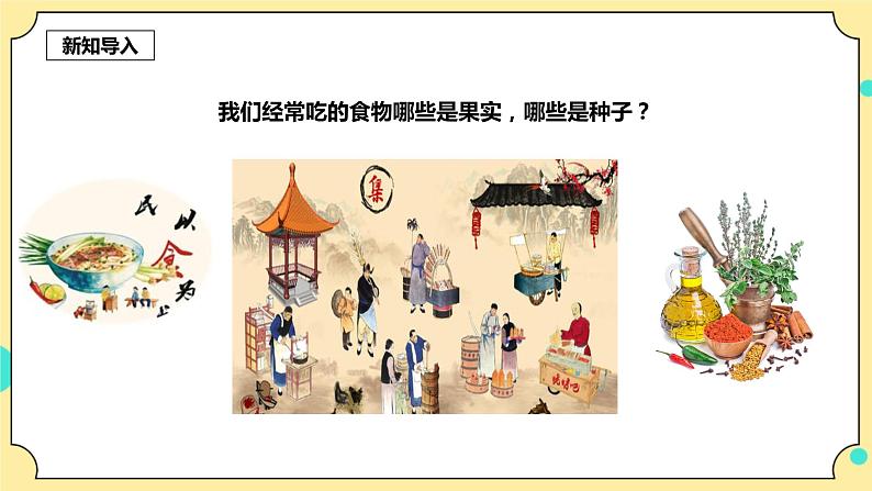 1.7《种子的传播》课件 教科版(2017)四年级科学下册第3页