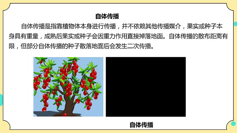 1.7《种子的传播》课件 教科版(2017)四年级科学下册第7页