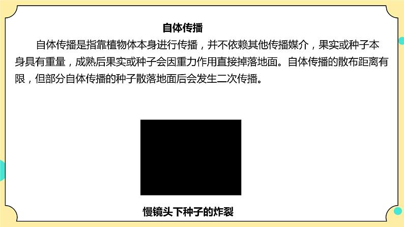 1.7《种子的传播》课件 教科版(2017)四年级科学下册第8页