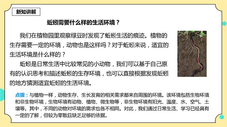 1.4《蚯蚓的選擇》課件 教科版五年級(jí)科學(xué)下冊(cè)第4頁