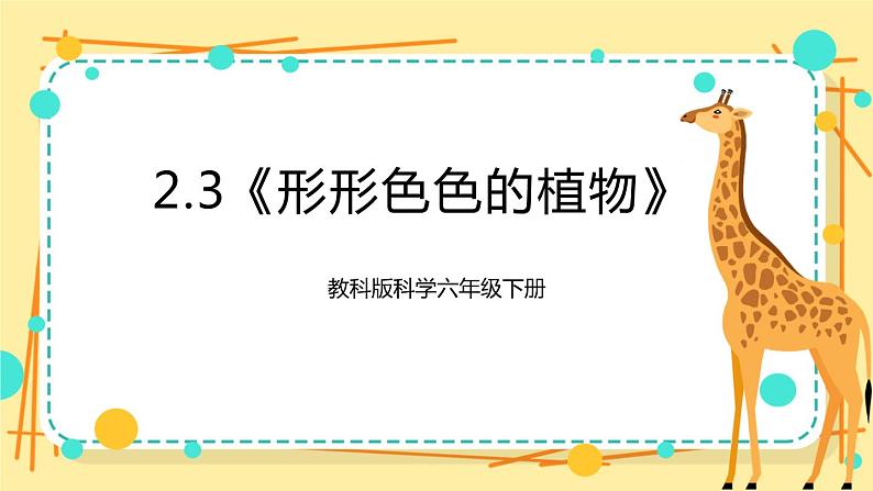2.3《形形色色的植物》课件 教科版六年级科学下册第1页