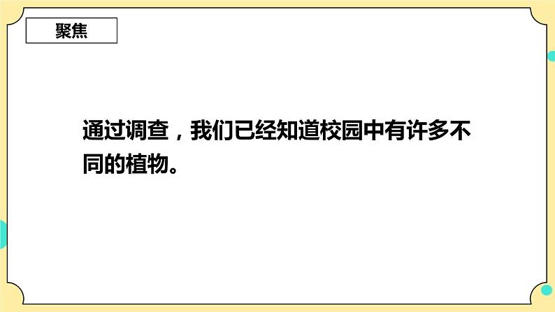 2.3《形形色色的植物》课件 教科版六年级科学下册第3页