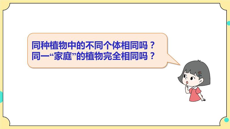 2.3《形形色色的植物》课件 教科版六年级科学下册第5页