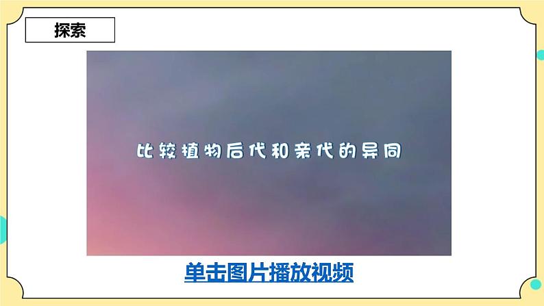 2.3《形形色色的植物》课件 教科版六年级科学下册第6页