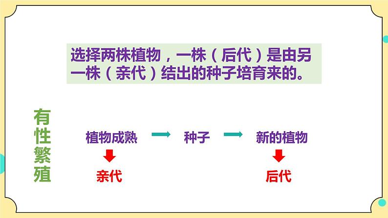 2.3《形形色色的植物》课件 教科版六年级科学下册第7页