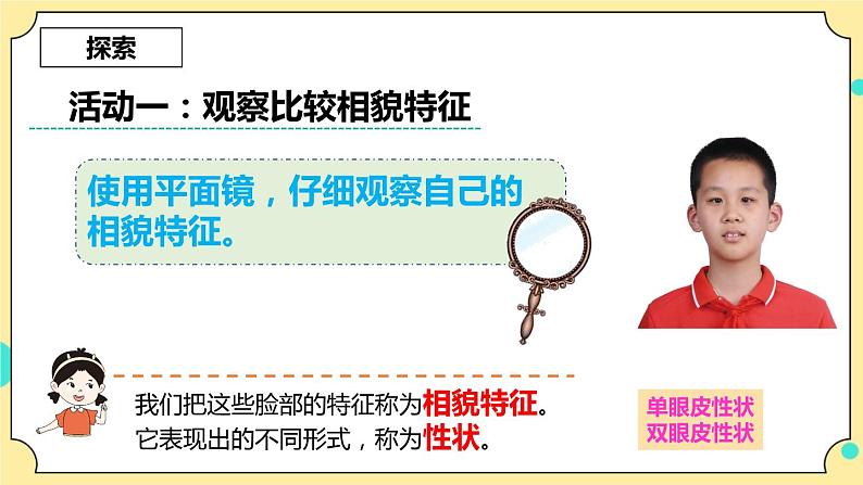 2.5《相貌各异的我们》课件 教科版六年级科学下册第7页