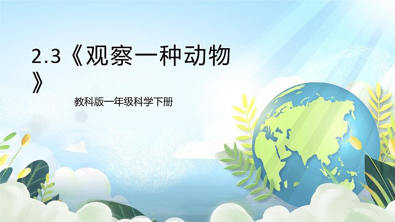 2.3《观察一种动物》课件+素材 教科版一年级科学下册(送教案练习)01