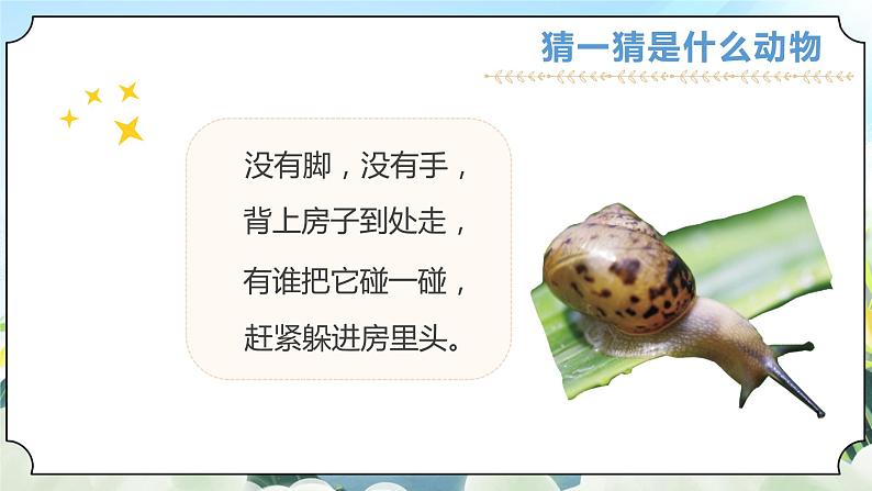 2.3《观察一种动物》课件+素材 教科版一年级科学下册(送教案练习)03