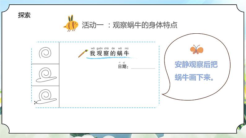 2.3《观察一种动物》课件+素材 教科版一年级科学下册(送教案练习)06