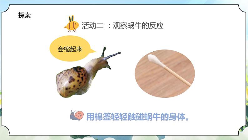 2.3《观察一种动物》课件+素材 教科版一年级科学下册(送教案练习)07