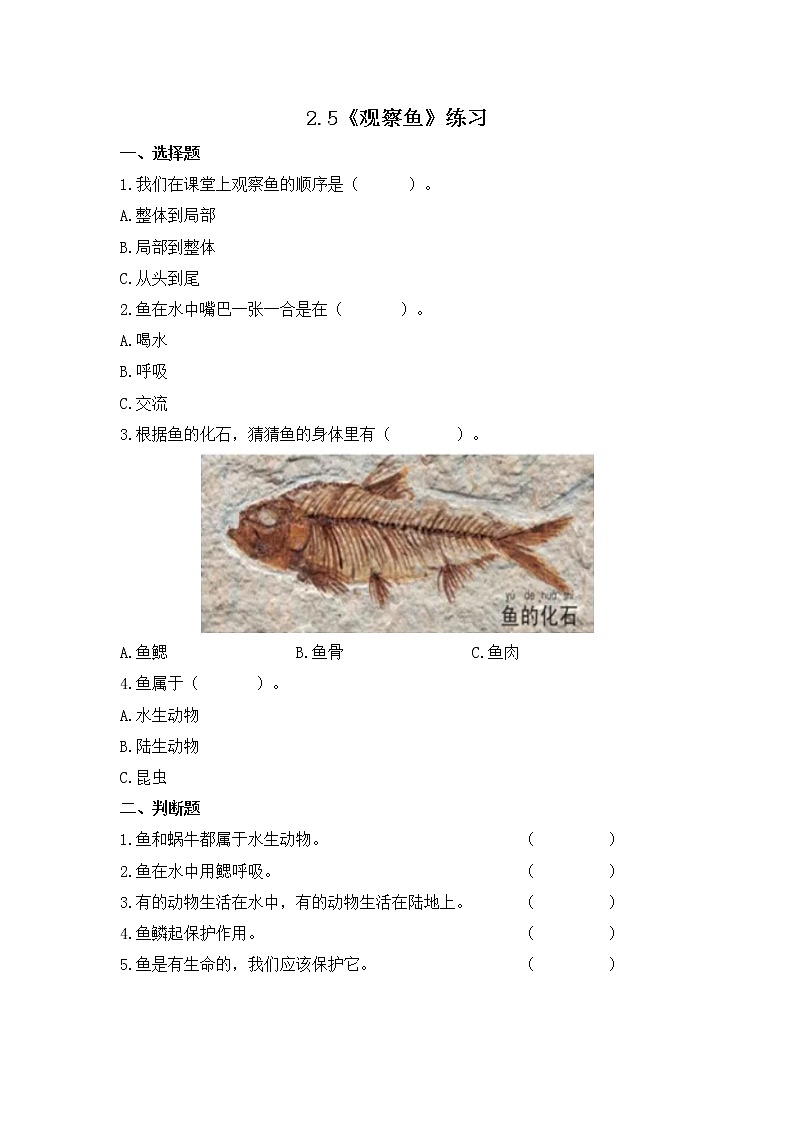 2.5《观察鱼》课件+素材 教科版一年级科学下册(送教案练习)01
