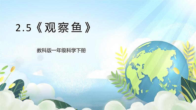 2.5《观察鱼》课件+素材 教科版一年级科学下册(送教案练习)01
