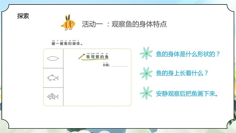 2.5《观察鱼》课件+素材 教科版一年级科学下册(送教案练习)08