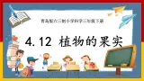 【青岛版六三制】三下科学 4.12《植物的果实》（课件+教案+练习）