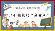 小学科学第四单元 植物的繁殖14 植物的“分身术”获奖ppt课件