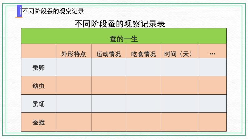 10.养昆虫（3课时）课件+课件练习+素材03