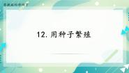 小学科学苏教版 (2017)四年级下册12 用种子繁殖一等奖ppt课件