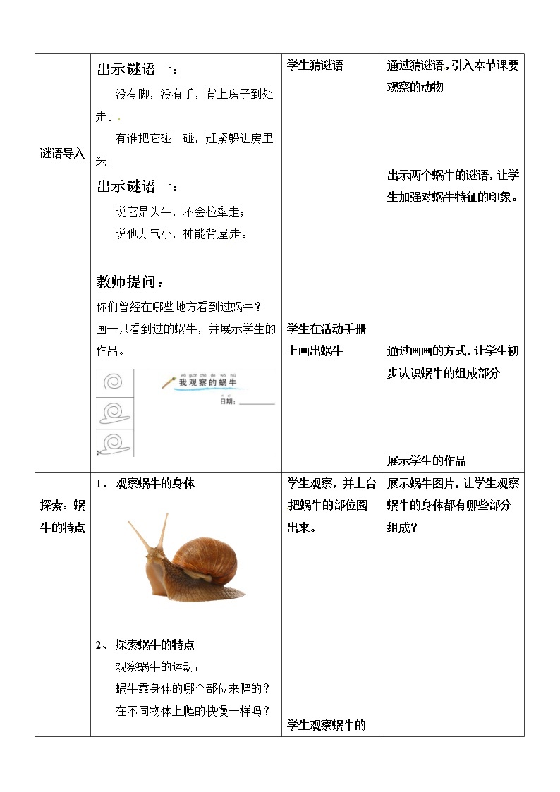 一年级下册科学教案- 第二单元 第3课 观察一种动物 教科版02