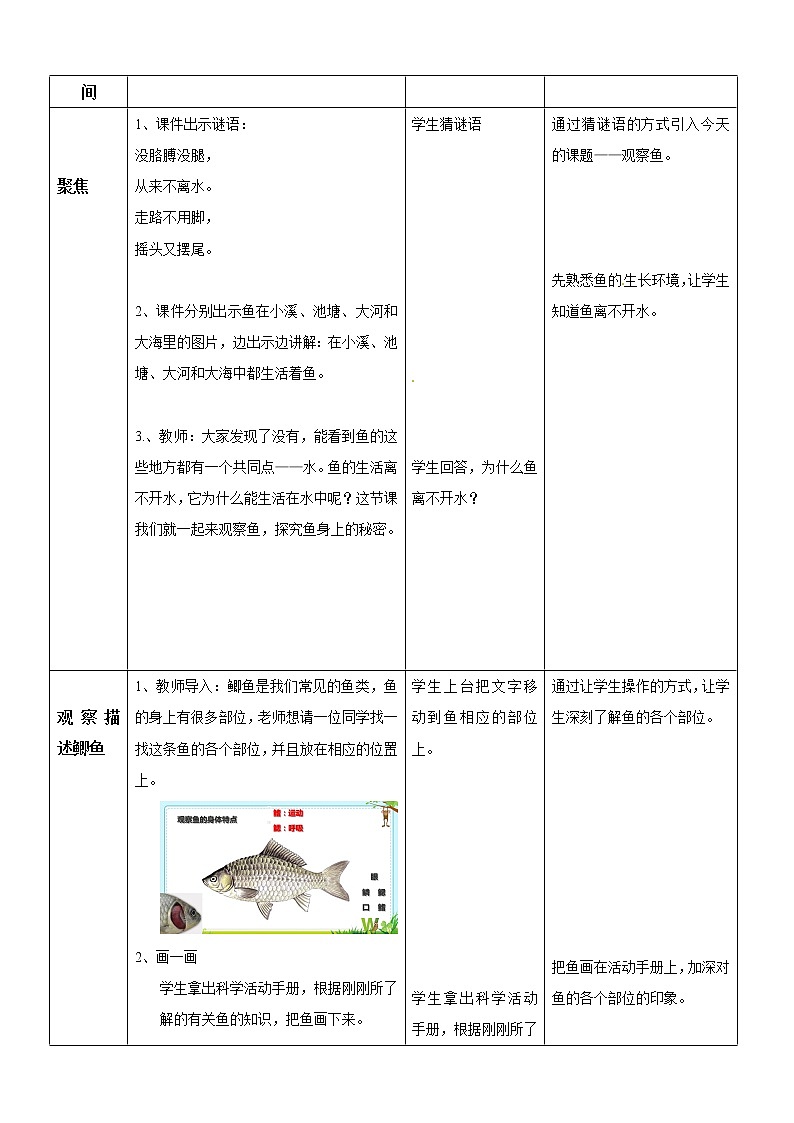 一年级下册科学教案- 第二单元 第5课 观察鱼 教科版第2页