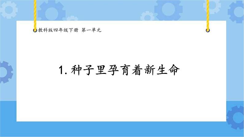 1.1《种子里孕育着新生命》(课件+素材 )-教科版(2017秋)  四年级下册科学01